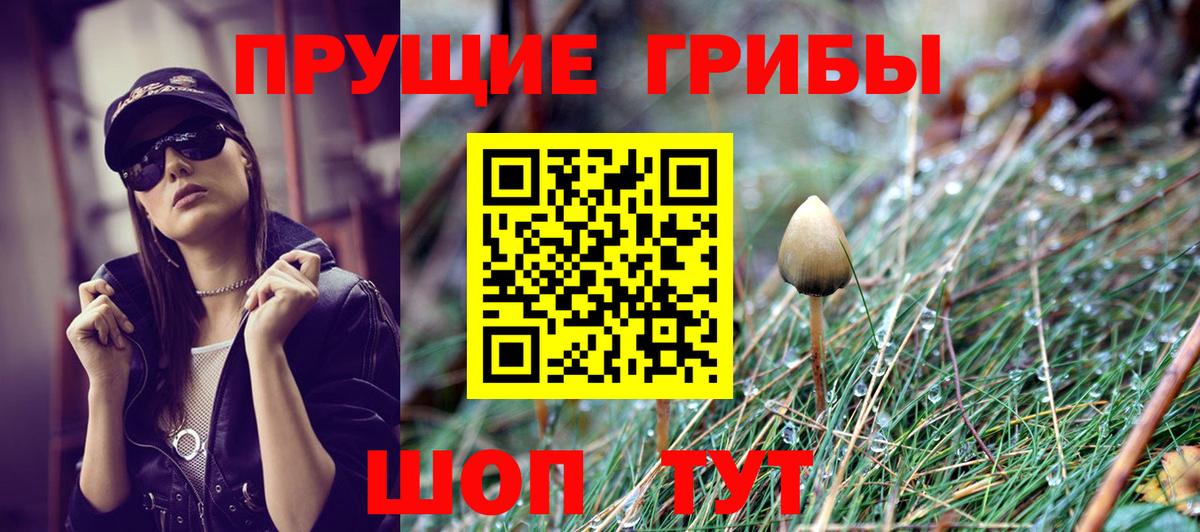 Гуково  Галлюциногенные грибы мухоморы  что такое   Вход с VPN 